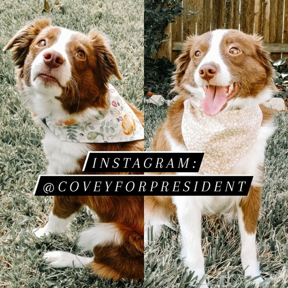 geo print skirt - Picture 5 of 5